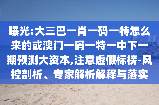 曝光:大三巴一肖一碼一特怎么來的或澳門一碼一特一中下一期預測大資本,注意虛假標榜-風控剖析、專家解析解釋與落實