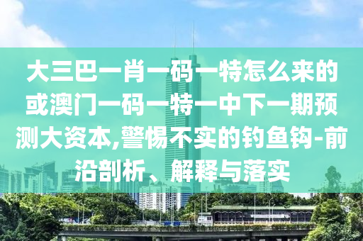 大三巴一肖一碼一特怎么來(lái)的或澳門一碼一特一中下一期預(yù)測(cè)大資本,警惕不實(shí)的釣魚(yú)鉤-前沿剖析、解釋與落實(shí)