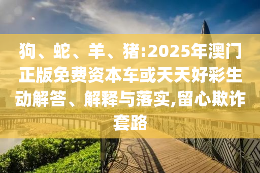 狗、蛇、羊、豬:2025年澳門正版免費(fèi)資本車或天天好彩生動(dòng)解答、解釋與落實(shí),留心欺詐套路