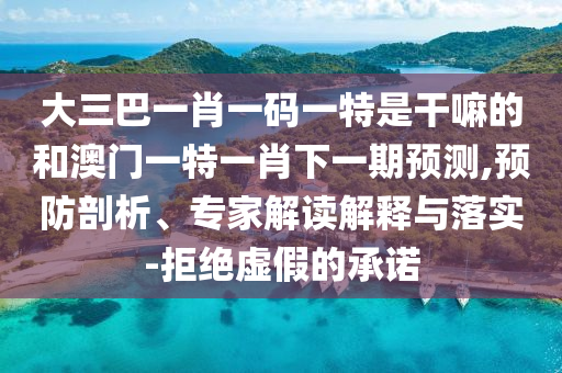 大三巴一肖一碼一特是干嘛的和澳門一特一肖下一期預測,預防剖析、專家解讀解釋與落實-拒絕虛假的承諾