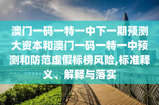 澳門(mén)一碼一特一中下一期預(yù)測(cè)大資本和澳門(mén)一碼一特一中預(yù)測(cè)和防范虛假標(biāo)榜風(fēng)險(xiǎn),標(biāo)準(zhǔn)釋義、解釋與落實(shí)