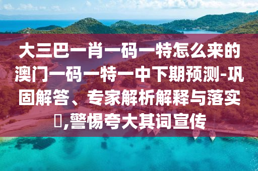 大三巴一肖一碼一特怎么來(lái)的澳門(mén)一碼一特一中下期預(yù)測(cè)-鞏固解答、專(zhuān)家解析解釋與落實(shí)?,警惕夸大其詞宣傳