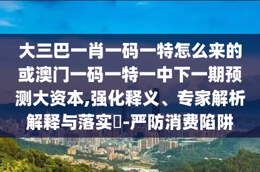 大三巴一肖一碼一特怎么來的或澳門一碼一特一中下一期預測大資本,強化釋義、專家解析解釋與落實?-嚴防消費陷阱