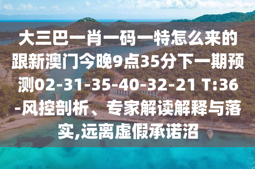 大三巴一肖一碼一特怎么來的跟新澳門今晚9點35分下一期預測02-31-35-40-32-21 T:36-風控剖析、專家解讀解釋與落實,遠離虛假承諾沼